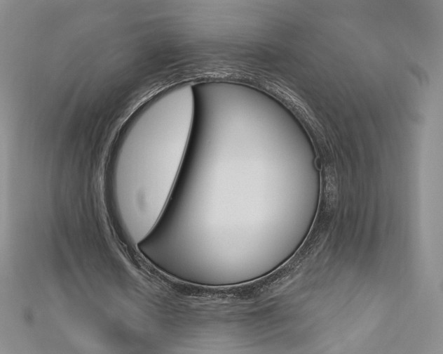 X0000112480626200908171013