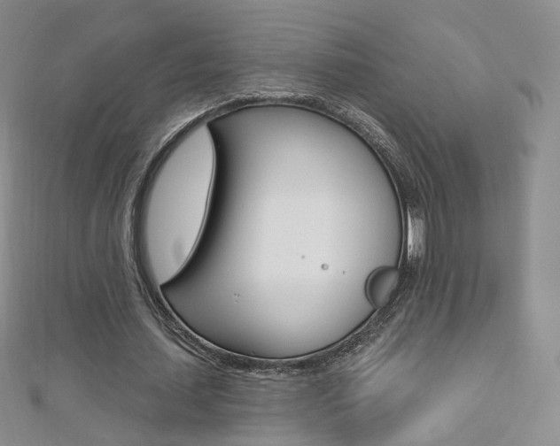 X0000112480627200908171013