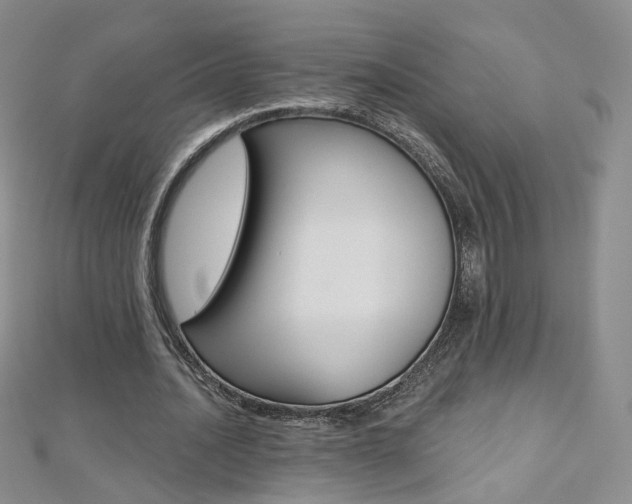 X0000112480628200908171013