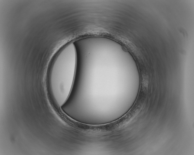 X0000112480630200908171013