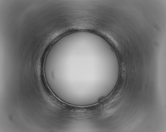X0000112480631200908171013