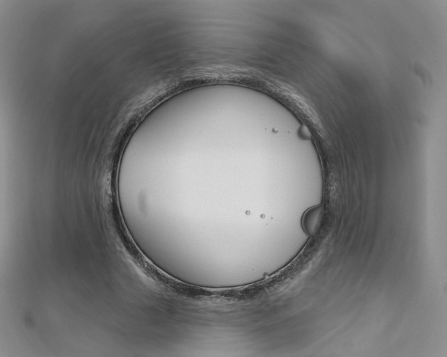 X0000112480633200908171013