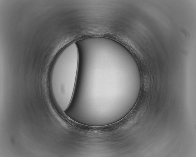 X0000112480634200908171013