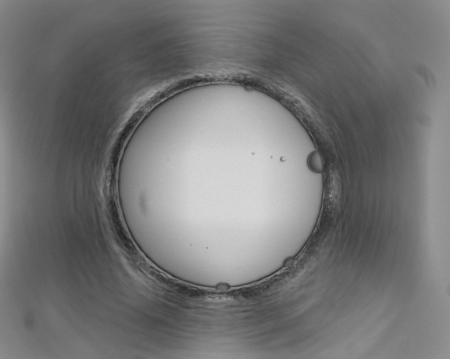 X0000112480636200908171013