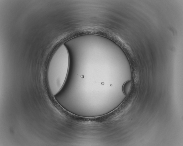X0000112480637200908171013