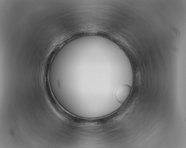 X0000112480638200908171013