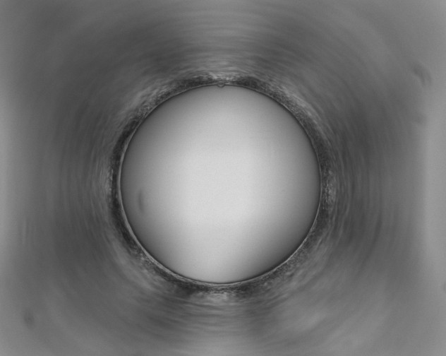 X0000112480639200908171013