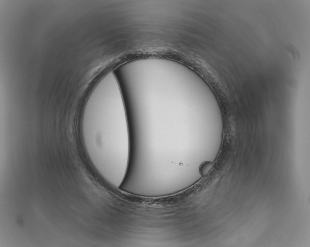 X0000112480640200908171013
