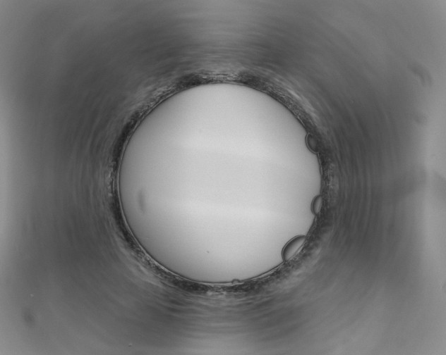 X0000112480641200908171013