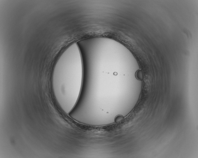 X0000112480642200908171013