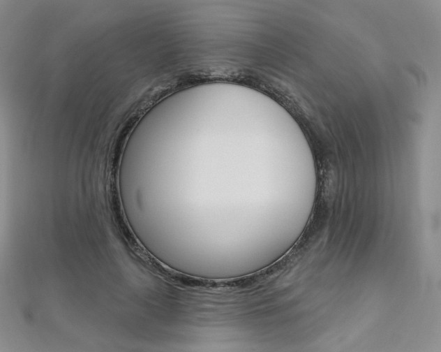 X0000112480643200908171013
