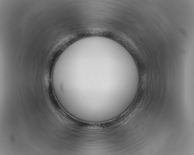 X0000112480644200908171013