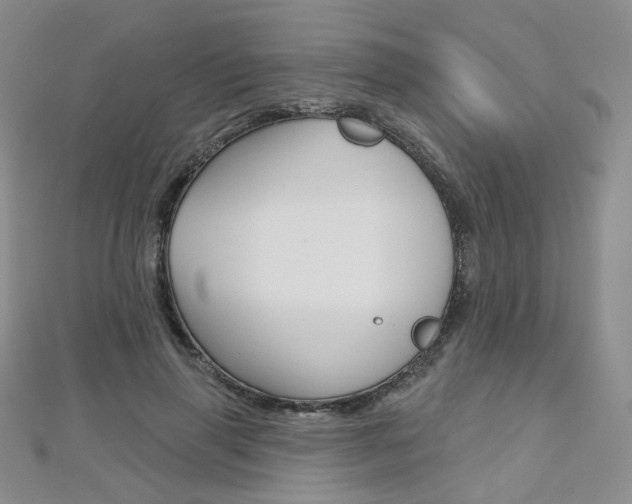 X0000112480645200908171013