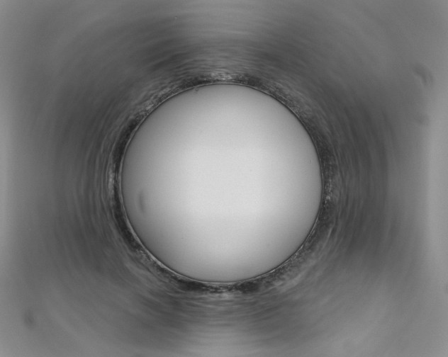 X0000112480646200908171013