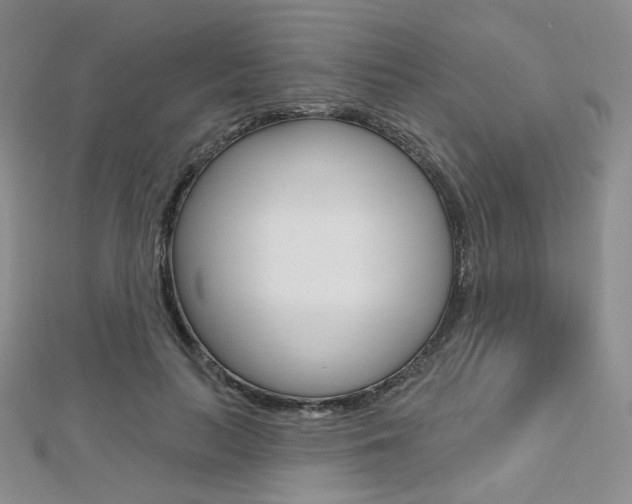 X0000112480647200908171013
