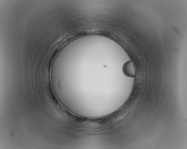 X0000112480648200908171013
