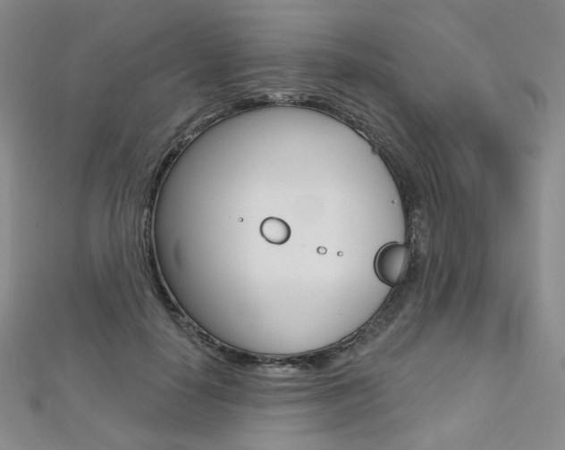 X0000112480650200908171013