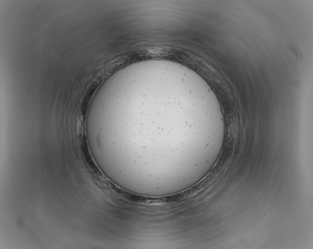 X0000112480651200908171013