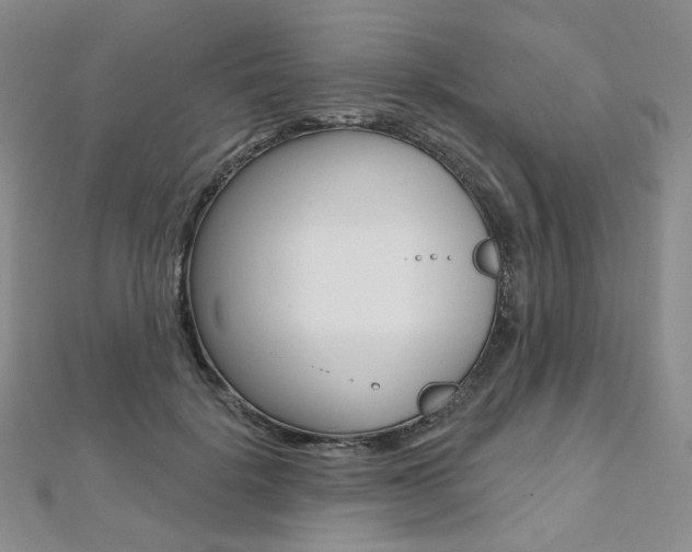 X0000112480652200908171013