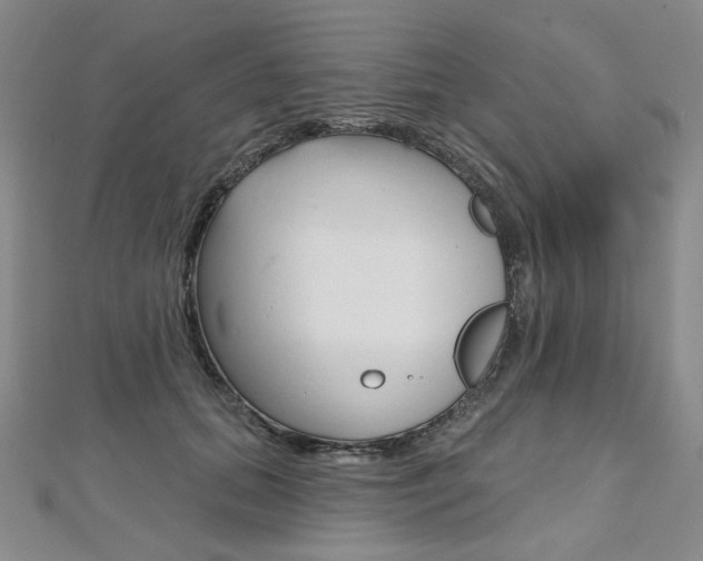 X0000112480655200908171013