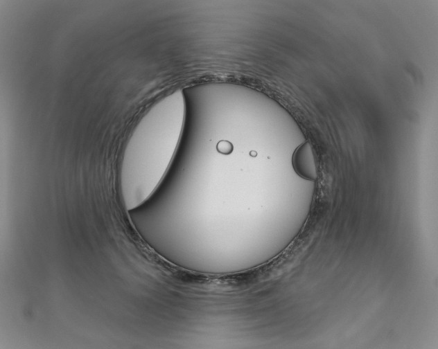 X0000112480656200908171013