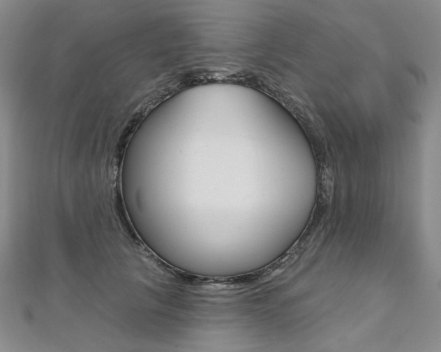 X0000112480657200908171013
