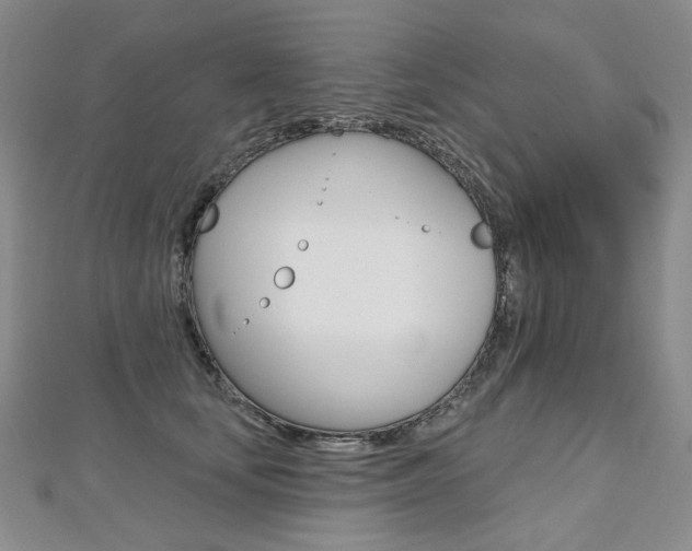 X0000112480659200908171014