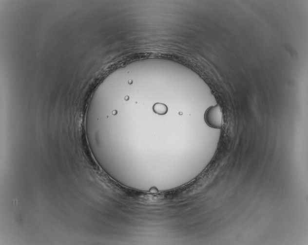 X0000112480660200908171014