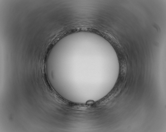 X0000112480661200908171014
