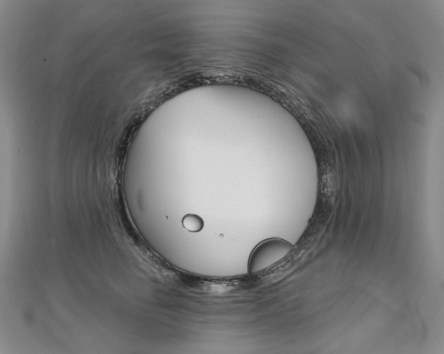 X0000112480662200908171014