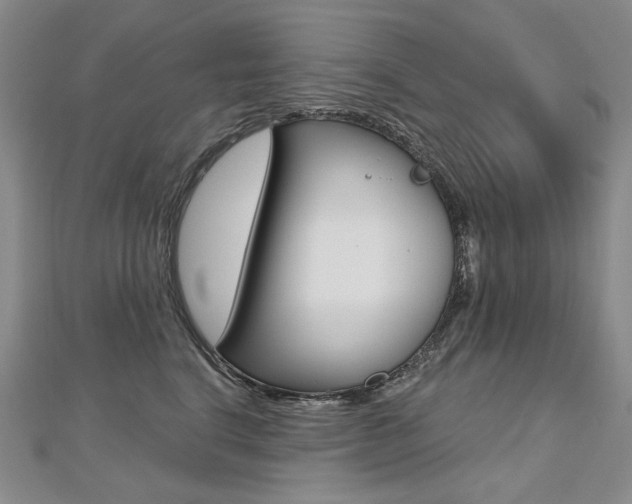 X0000112480664200908171014