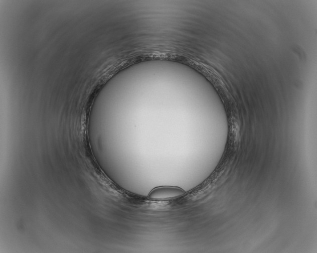 X0000112480665200908171014