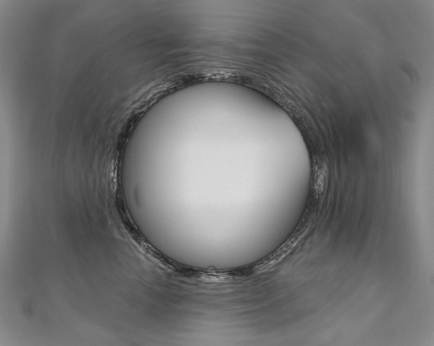 X0000112480666200908171014