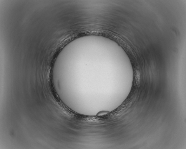 X0000112480668200908171014