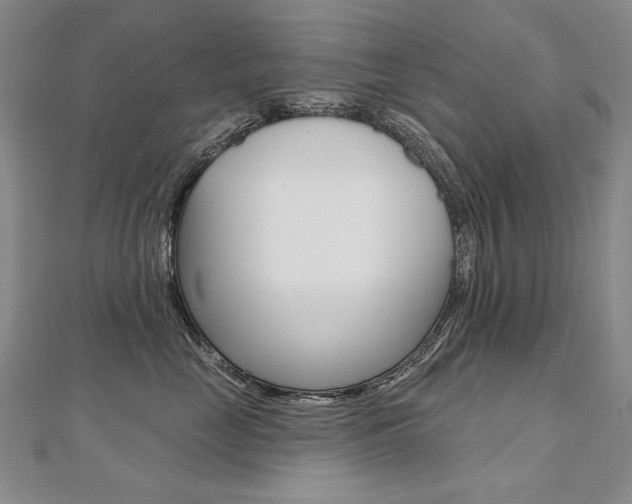 X0000112480669200908171014