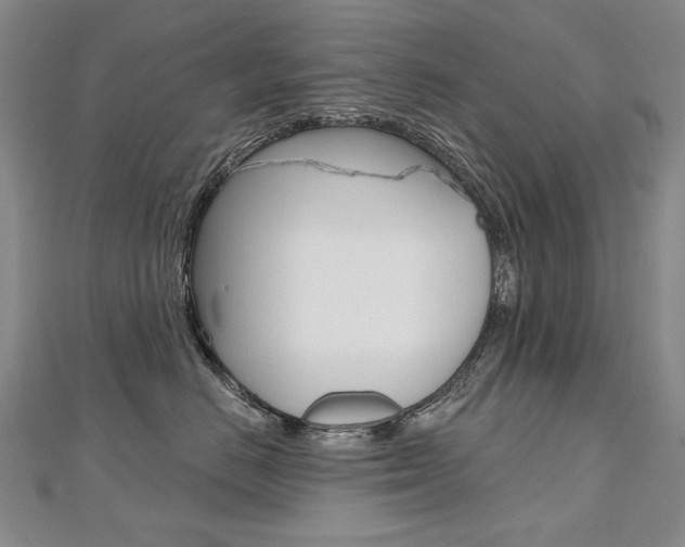 X0000112480670200908171014