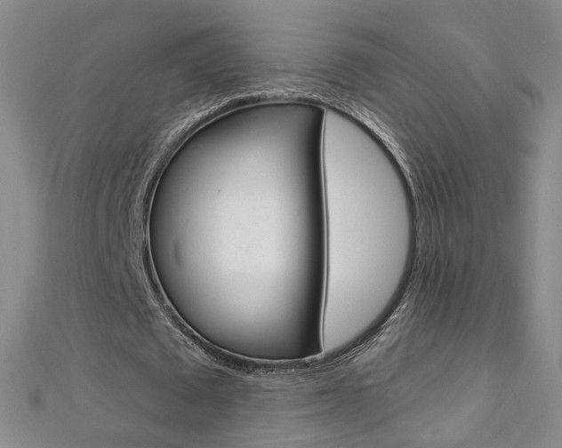 X0000112480673200908171013
