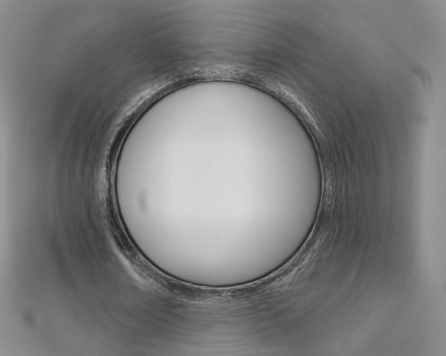 X0000112480674200908171013
