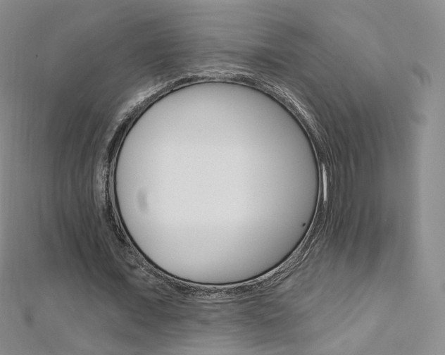 X0000112480675200908171013