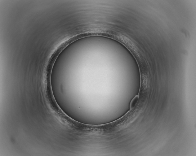 X0000112480676200908171013