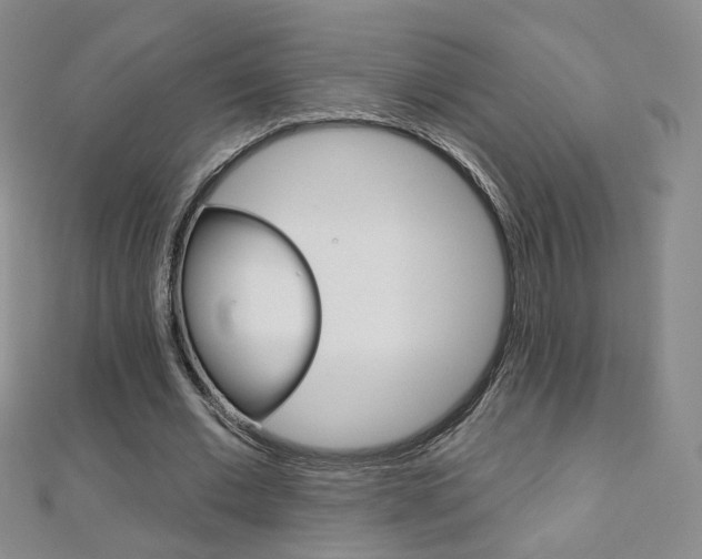 X0000112480677200908171013