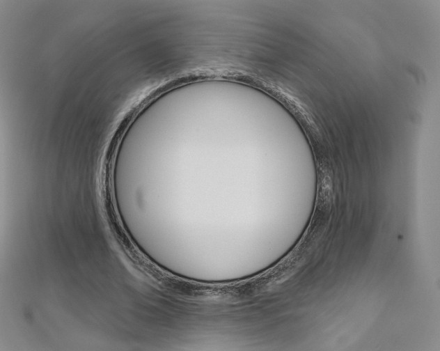 X0000112480678200908171013