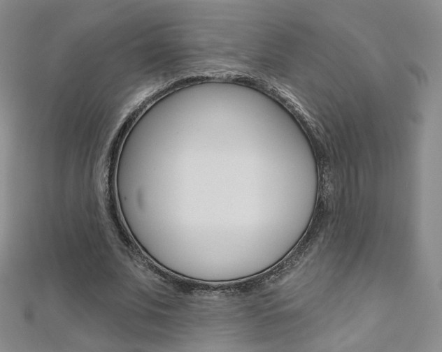 X0000112480679200908171013