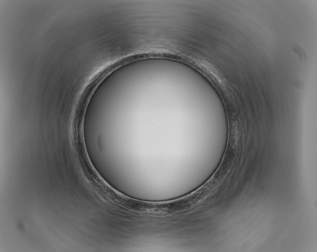 X0000112480680200908171013