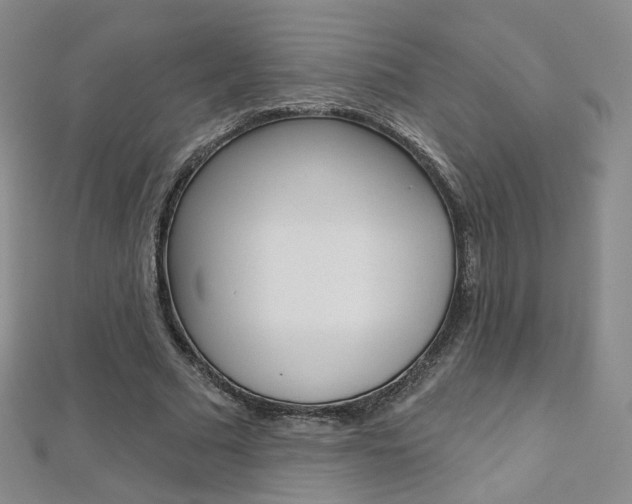 X0000112480681200908171013