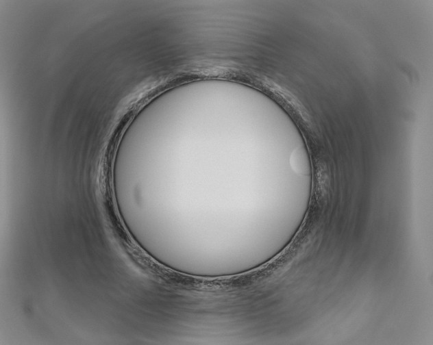 X0000112480682200908171013