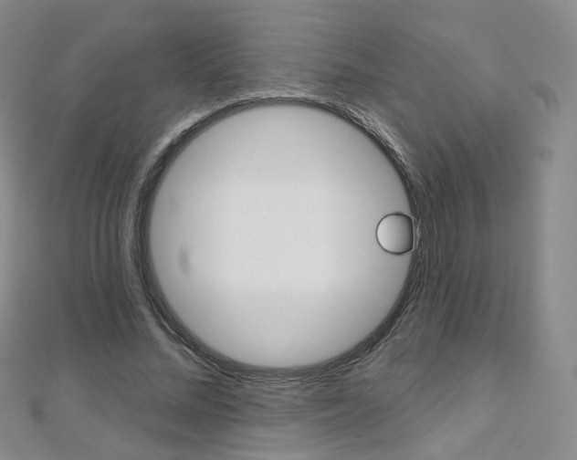 X0000112480684200908171013