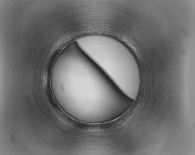X0000112480685200908171013