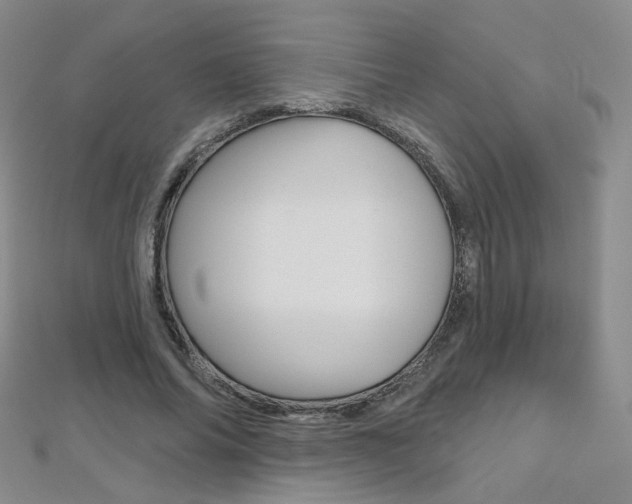 X0000112480686200908171013