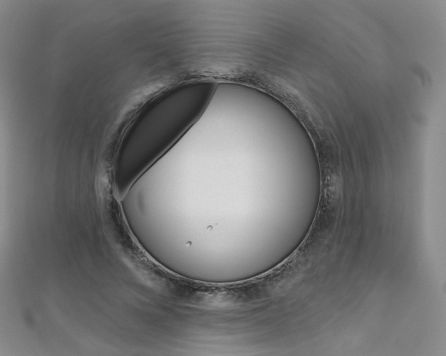 X0000112480688200908171013